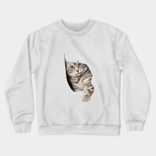 t-shirt cats : Do not prolong the consideration Crewneck Sweatshirt